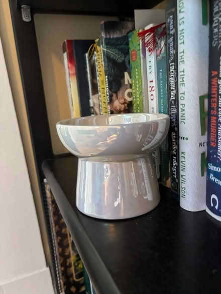 Photo of free Elevated cat dish (Near Chelmsford Center) #1