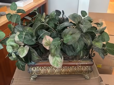 Photo of free Artificial plants (Lincoln park) #1