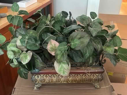 Photo of free Artificial plants (Lincoln park) #1