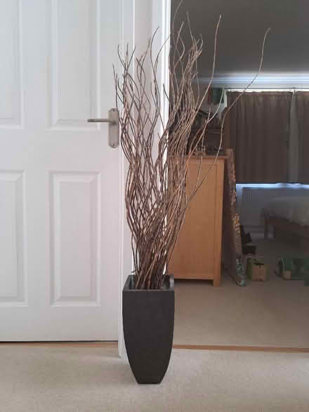 Photo of free Dried branch arrangement (Woodley RG5) #1