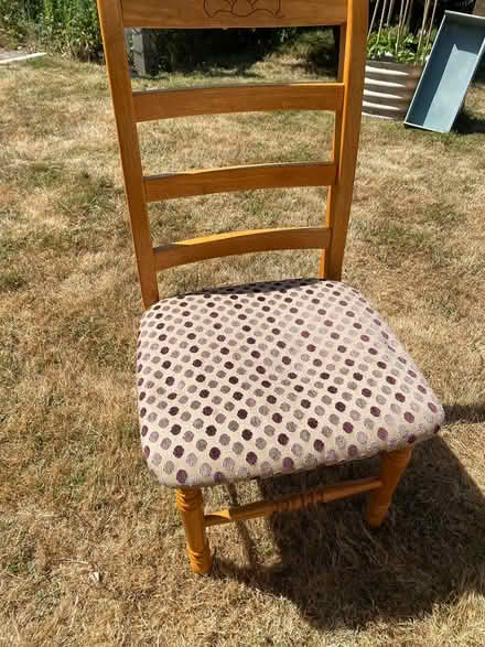 Photo of free 6 Dining Room Chairs (CT5) #1