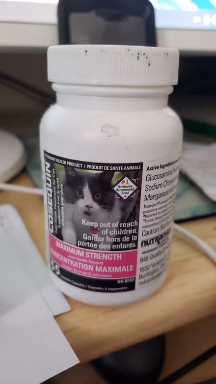 Photo of free Joint Supplement for Cats (10/eg) #1