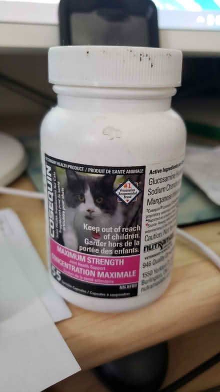 Photo of free Joint Supplement for Cats (10/eg) #1