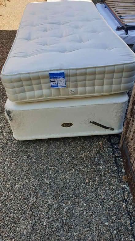 Photo of free 2 x Single divans with mattresses (Maesbrook SY10) #2