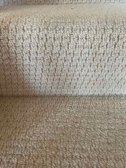 Photo of free Bedroom carpets (Bishop Auckland) #1