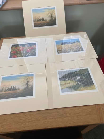 Photo of free Mounted prints (Keynsham) #1