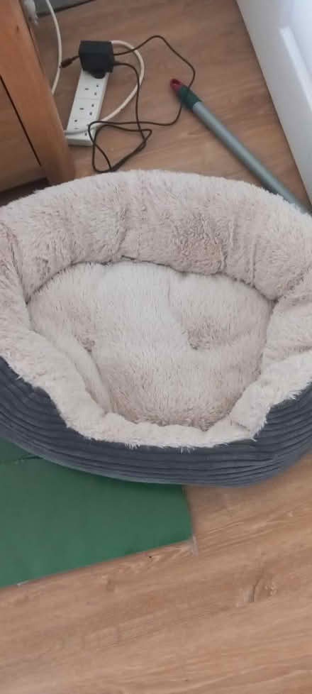 Photo of free Almost brand new dog bed (Rayners Lane HA2) #2