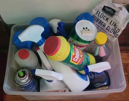 Photo of free Assorted cleaning supplies (North side of Elmhurst) #1