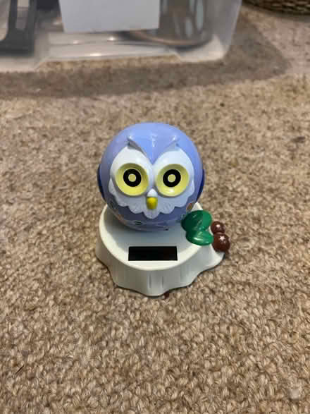 Photo of free Owl bobble head (Frilford OX13) #2
