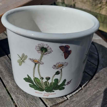 Photo of free Portmeirion Planter Botanic Garden (Jesmond Park East NE7) #2
