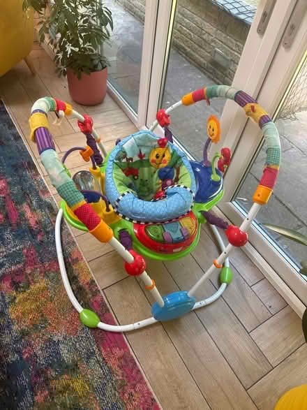 Photo of free Baby Einstein jumperoo (WA10) #1