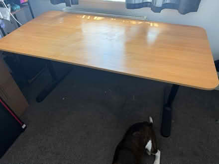 Photo of free Large desk (PO21 Nyetimber) #1