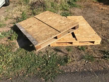 Photo of free 2pallets (Sileby LE12) #1