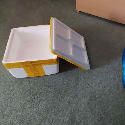 Photo of free polystyrene box (Fords Farm RG31) #1