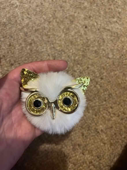 Photo of free Owl keychain (Frilford OX13) #2