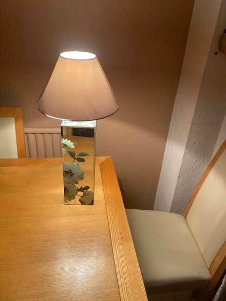 Photo of free Next lamp (Bromsgrove B61 7) #1