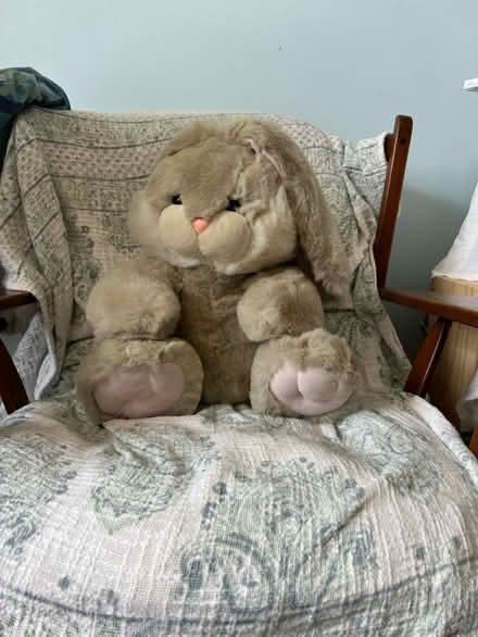Photo of free Stuffed Bunny (Etobicoke) #1