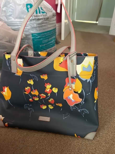 Photo of free Radley tote bags (Anna Valley SP11) #2