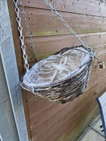 Photo of free Two hanging baskets (Bomere Heath) #2