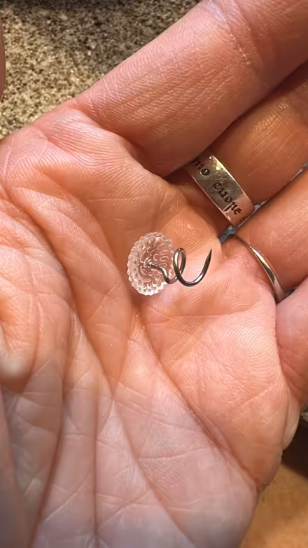 Photo of free Bag of small swirly tacks (Palisades, NW, WDC) #1