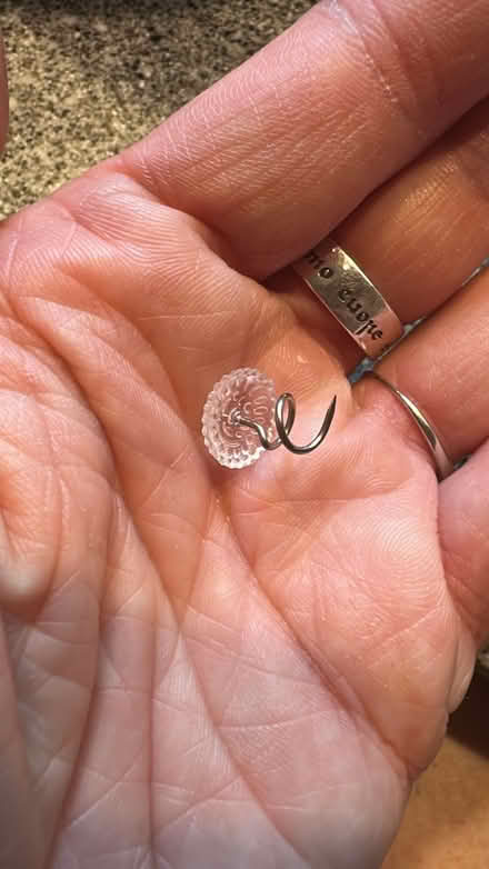 Photo of free Bag of small swirly tacks (Palisades, NW, WDC) #1