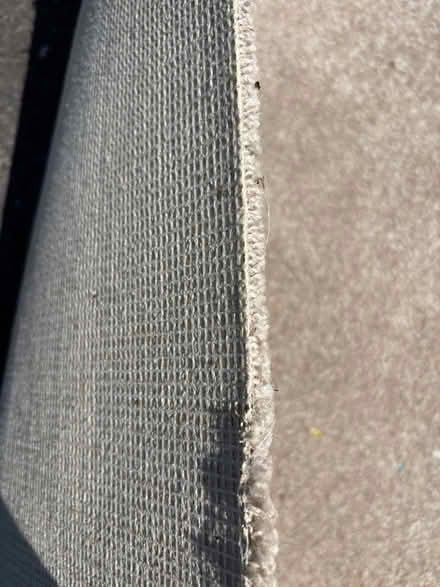 Photo of free Carpet off cuts (Longton Preston PR4) #1
