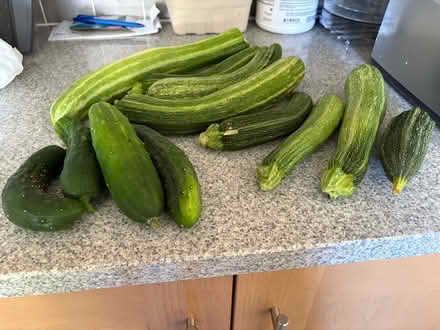 Photo of free Organic vegetables (Lyncombe) #1