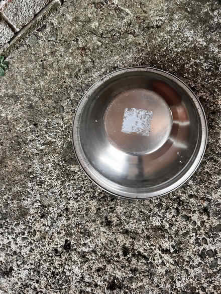 Photo of free Dog bowls round metal. (Farndon CH3) #2