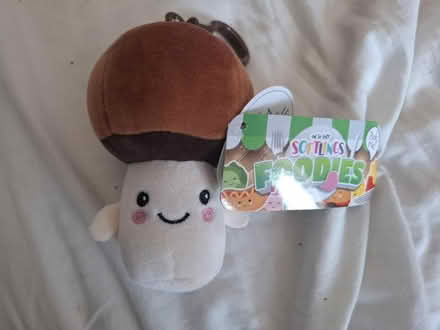 Photo of free Cuddly mushroom keyring (Seaside BN22) #1