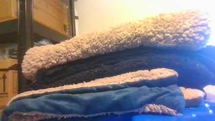 Photo of free 3 more M/L dog blankets (BA2) #1