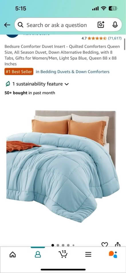 Photo of free Queen Duvet Insert (Channelside) #2