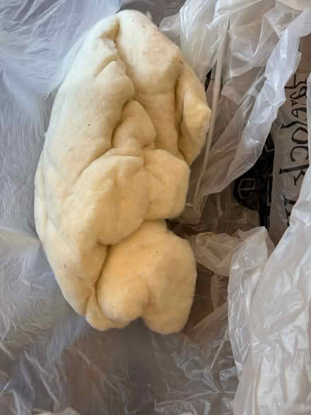 Photo of free Havelock Wool (Fairfax) #1