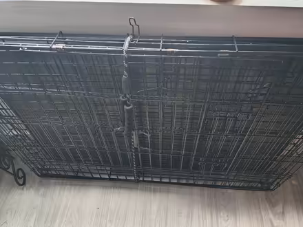 Photo of free dog cage (Jamaica, NY) #1