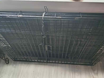 Photo of free dog cage (Jamaica, NY) #1