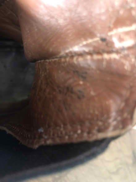 Photo of free Baxter Leather Womens Boots Size 5 (Hazelbrook) #2