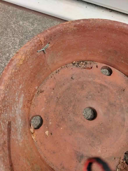 Photo of free Large Terracotta pot - shallow (Horsforth LS18) #3