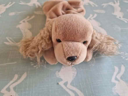 Photo of free TY Beanie Babies x 4 (Arborfield Garrison RG2) #4