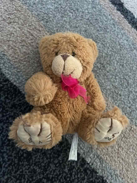 Photo of free Small teddies (Jennetts park RG12) #1
