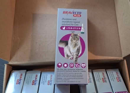 Photo of free 8 - Brovecto Plus Cats >13.8 - 27.5 (Wurtsboro, NY) #1