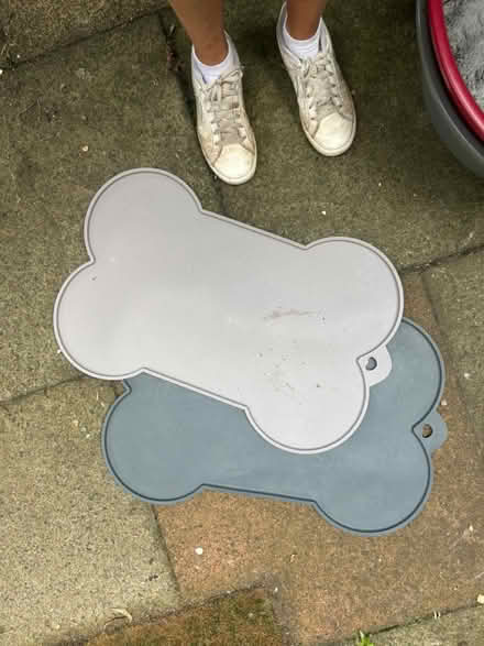 Photo of free Plastic dog beds with grey bedding (Near Cameron Toll EH16) #2