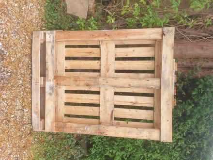 Photo of free Pallet (Barlaston ST12) #1