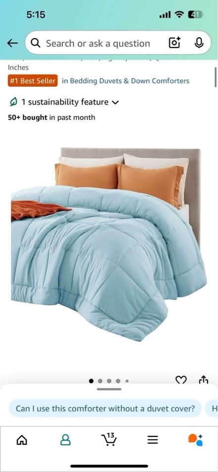 Photo of free Queen Duvet Insert (Channelside) #1