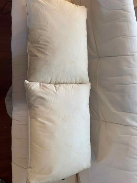 Photo of free 2 Feather land’sEnd pillows (Near Culver City) #1