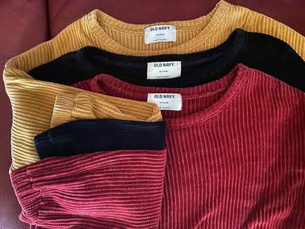Photo of free Velour knit sweaters (Medford-Fulton Heights) #1