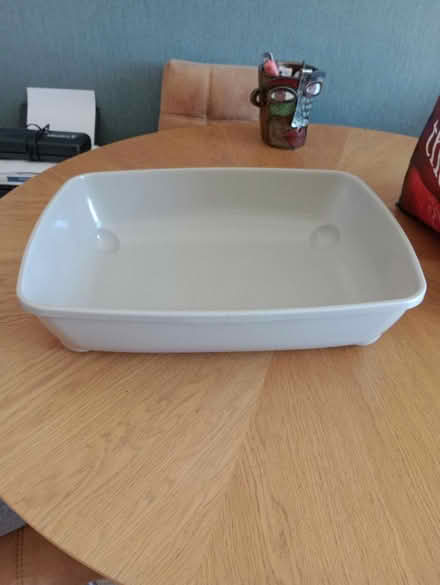Photo of free Cat litter tray (Park Drive TN34) #2