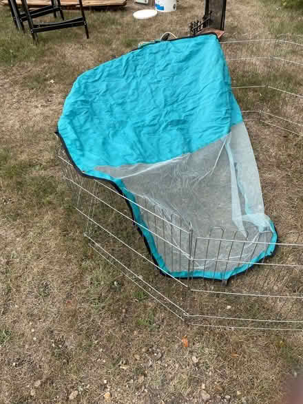 Photo of free Guinea pig run (Cringleford NR4) #3