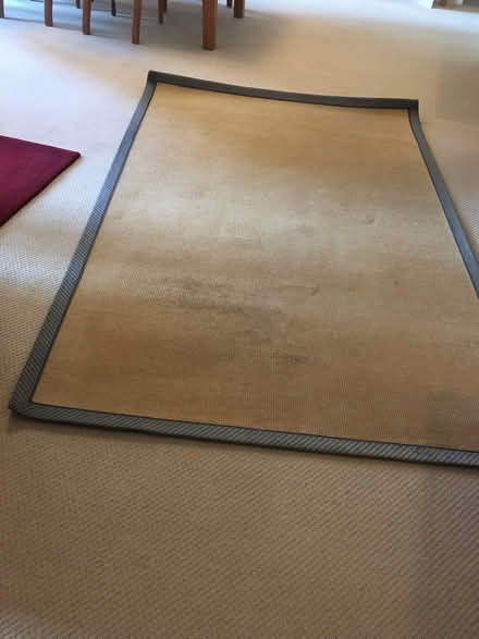 Photo of free Carpet (Holland Park W14) #1