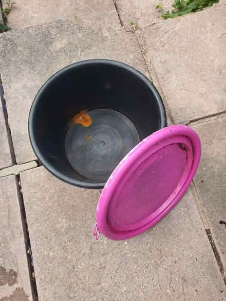 Photo of free Fishing bucket (Darnall S9) #1