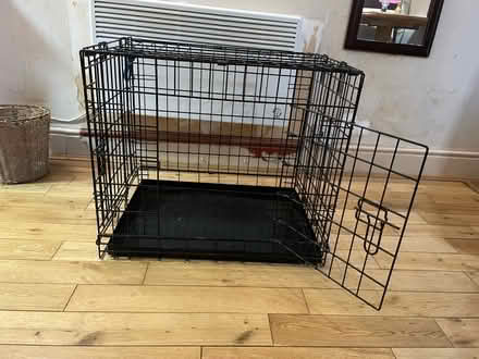 Photo of free dog things (Round Green LU2) #1