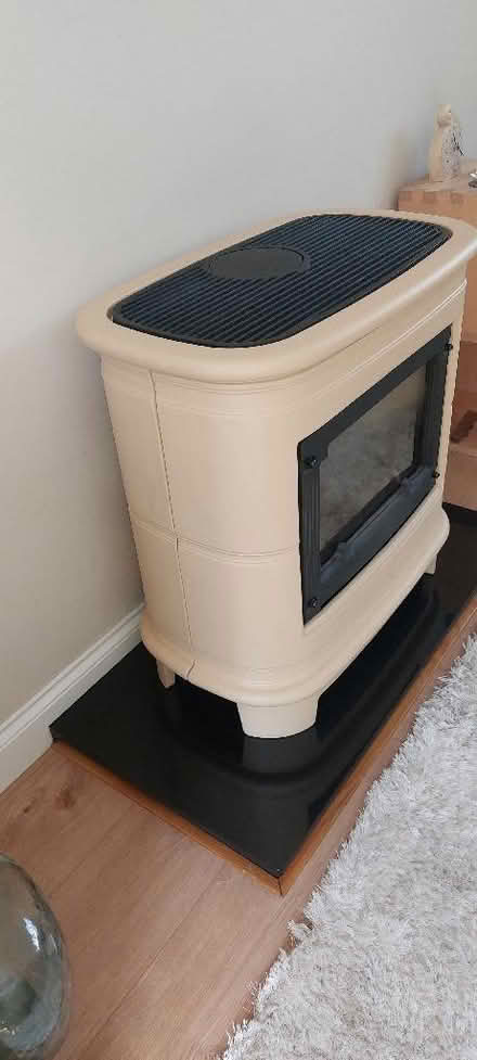 Photo of free Gas fire (Great Totham CM9) #2